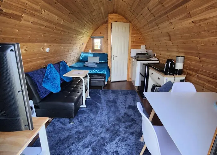 The Back Pod
