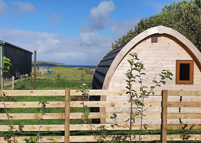 The Back Pod